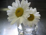a0023043_19971.jpg
