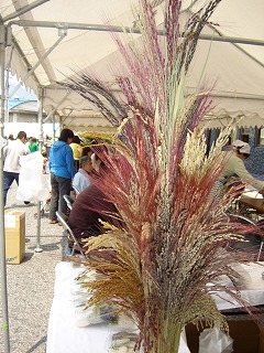 b0053444_23132676.jpg