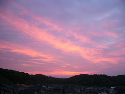 2006年5月17日 いよいよパラの季節!_f0060461_1124725.jpg