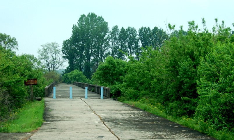 c0009275_1255359.jpg