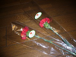 f0049187_08419.jpg