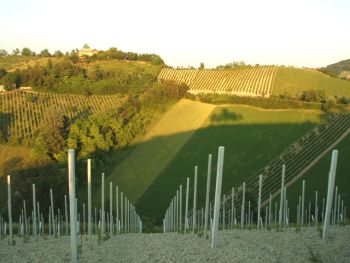 イタリアの田舎は、ハチミツ色。_d0067698_16275435.jpg