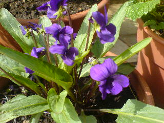f0052603_014631.jpg