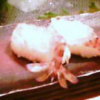 c0000111_42405.jpg