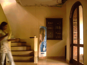 d0038319_9233488.gif