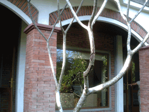 d0038319_973760.gif