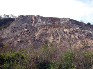 d0045626_13175.jpg
