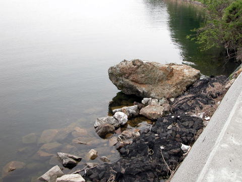 d0045626_22405798.jpg