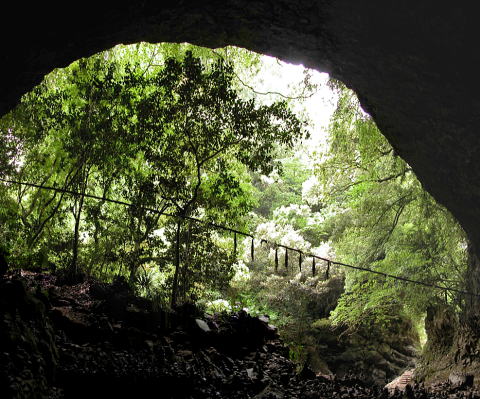 九州旅行５日目　天の岩戸　高千穂峡　日向岬_d0045626_8581812.jpg