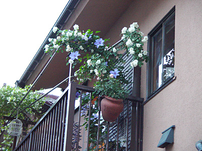 e0001735_10484842.jpg