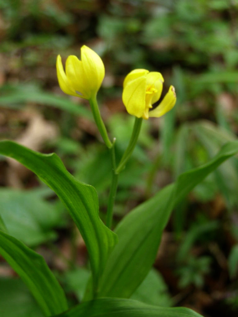 e0064158_3305.jpg