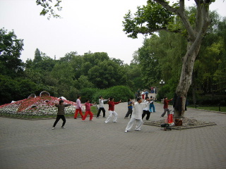 f0043559_20285329.jpg