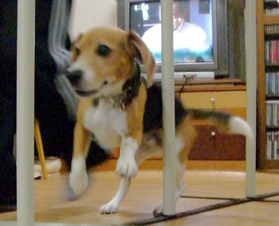 e0007060_19282017.jpg