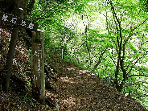b0053765_1435717.jpg