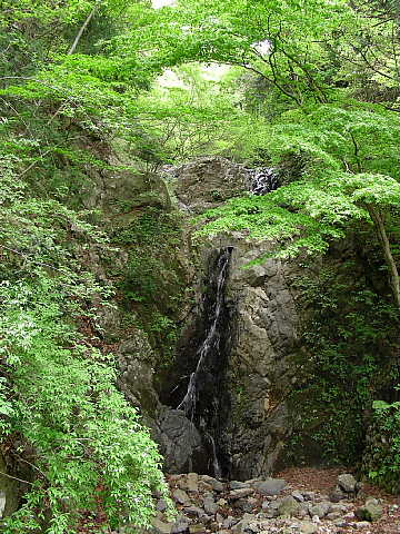 b0053765_14435820.jpg