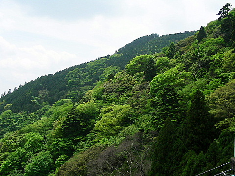b0053765_953292.jpg