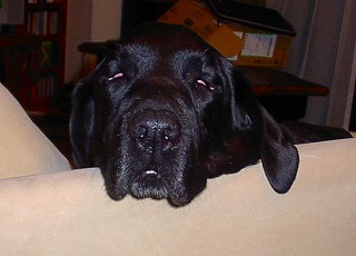 b0003270_23559100.jpg