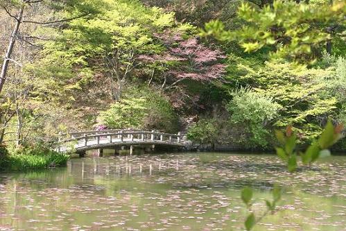 神戸市森林植物園_d0009197_2359611.jpg