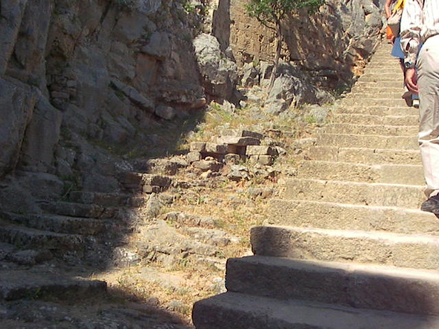 f0038407_75429.jpg