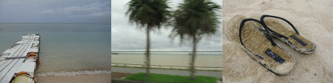 Feel Okinawa No.11_d0014408_13324052.gif