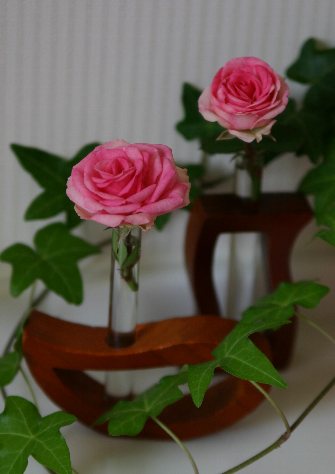 今年一番最初の薔薇_d0066920_2150618.jpg