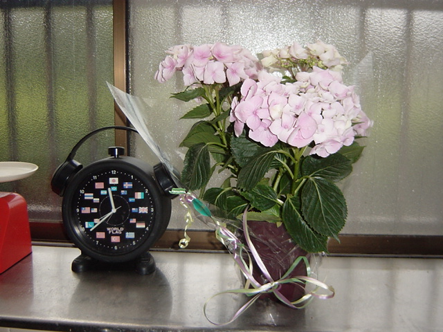 c0058727_11492869.jpg