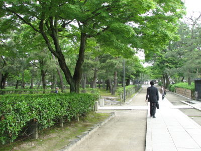 朝の散歩、建仁寺さんへ♪_f0054428_2121569.jpg