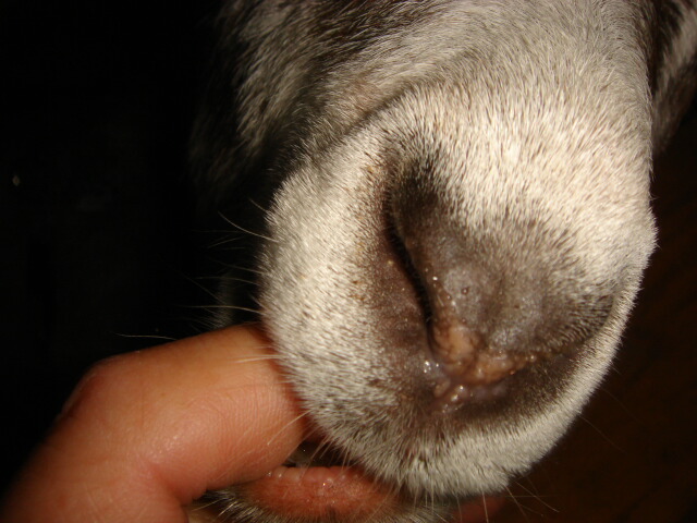 e0001531_21524866.jpg