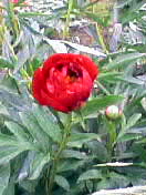 f0085369_2110787.jpg