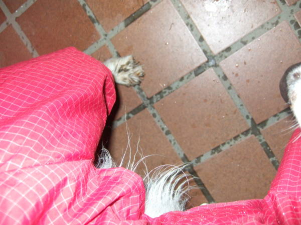 c0075585_03929.jpg