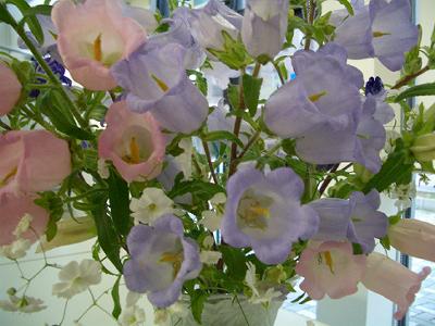 ちょっと一息_b0090890_2374511.jpg