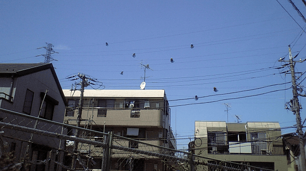 a0006605_1831293.gif