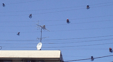 a0006605_18333152.gif