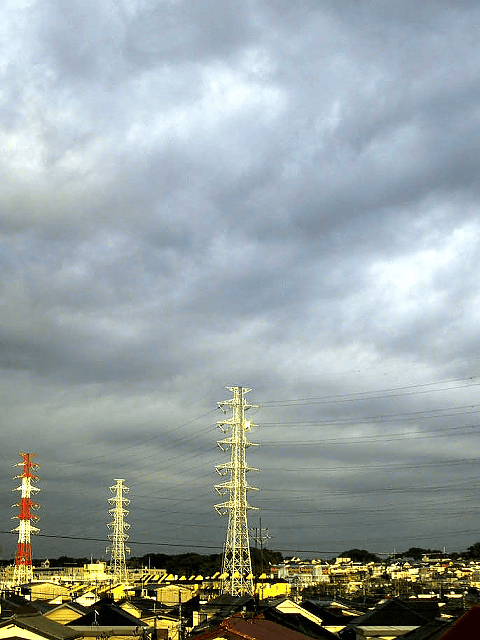 a0006605_18522454.gif