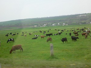 f0000211_13444630.jpg