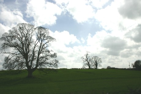 f0097620_1311150.jpg
