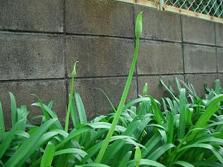 f0010925_21185976.jpg