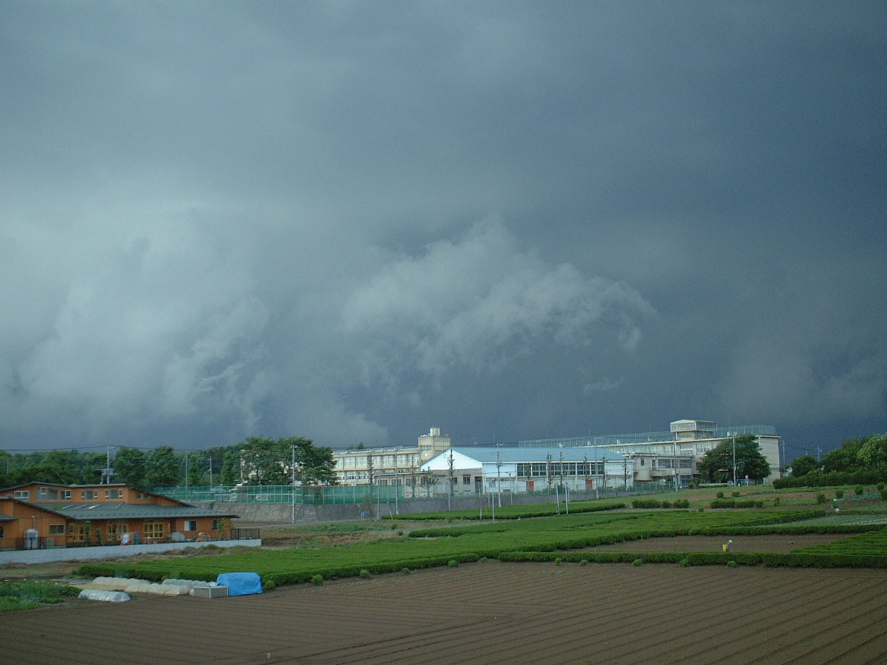 嵐のような雷雨でした。_e0047026_23251046.jpg