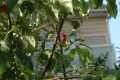 f0000330_1814088.jpg