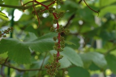 f0000330_18142012.jpg
