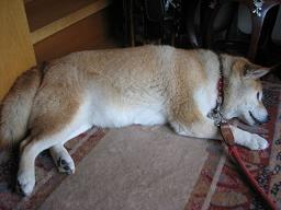 昼から・・・?_c0049950_23333525.jpg