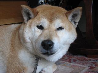 昼から・・・?_c0049950_2336259.jpg