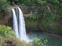 日本カウンセリング事情 1_d0065558_2242407.jpg