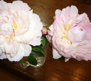 2006年5月20日梅雨のような・・・じゃない大雨!_f0060461_1042485.jpg