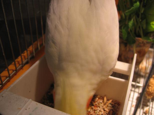e0027078_84889.jpg