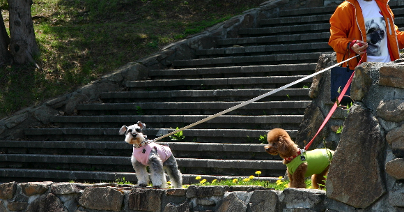 旭山記念公園＆テラスランチ♪_f0001895_19433784.jpg