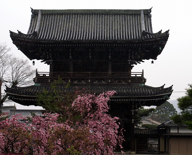 e0039703_2354724.jpg