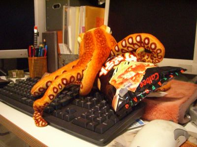 動物その後・・・_c0031206_23193097.jpg