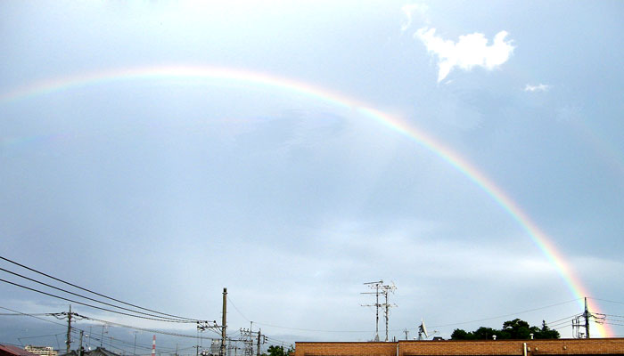 d0011713_04032.jpg