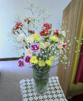 今日のお花_f0041222_19405938.jpg